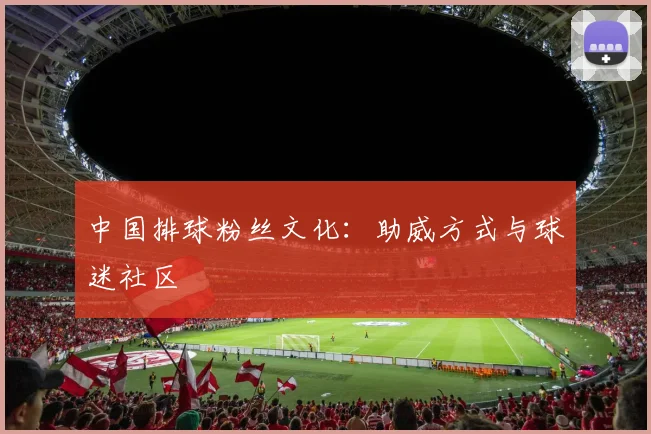 中国排球粉丝文化：助威方式与球迷社区